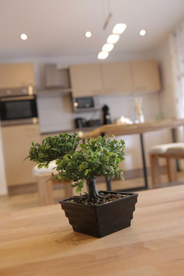 Apartment Claudia Sinsheim
